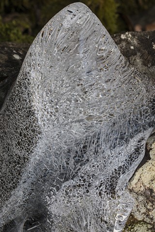 Crystalline Lichen