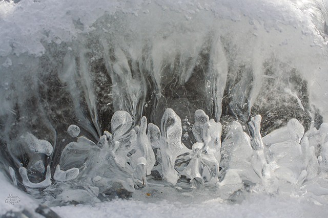 Catskill mountain winter Ice macro photograph by Lliam Greguez 2007 