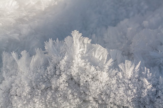 Catskill mountain winter Ice macro photograph by Lliam Greguez 2010