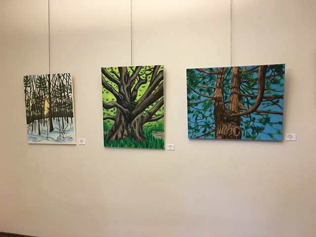 Solo show themed around New England Trees.