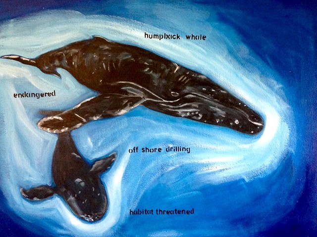 Endangered Humpback Whale