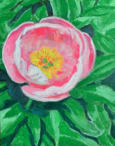 Pink flower