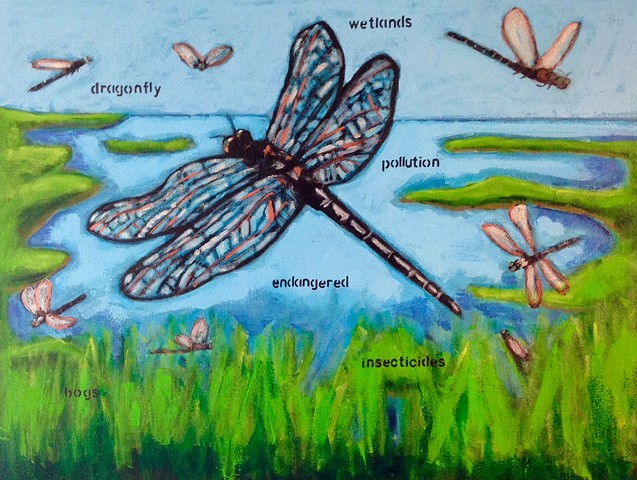 Endangered Dragonfly