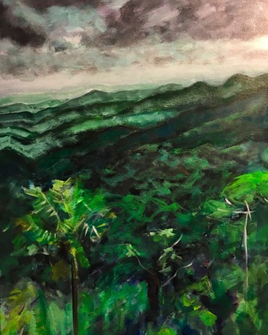 Rainforest view of Puerto Rico.