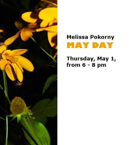 Melissa Pokorny: May Day