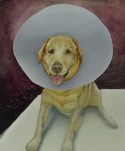 Décomposition/ chien 2