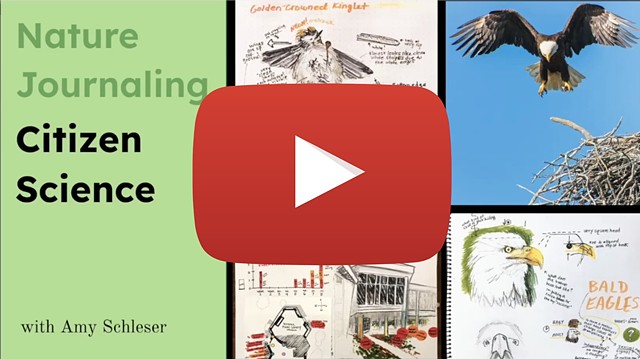 Nature Journal Educator's Forum