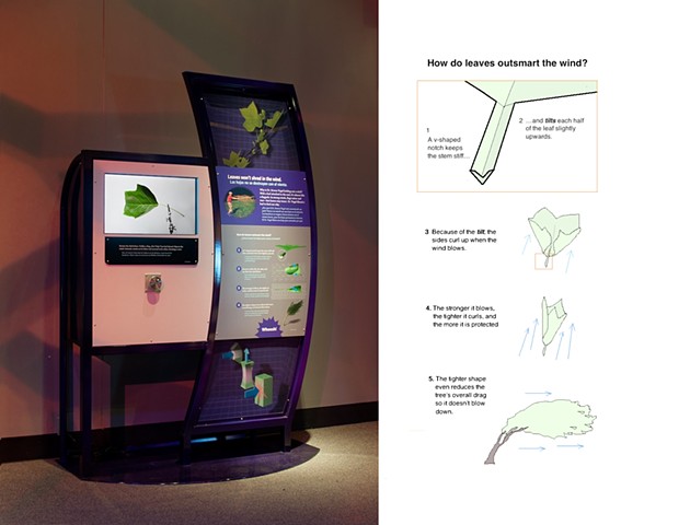 Interactive display in “The Machine Inside: Biomechanics” exhibition
The Field Museum (and other venues)
Opened March 2014
