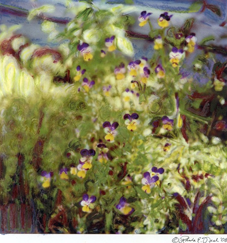 "Wilmington Wildflowers"