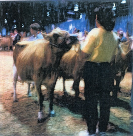 "The Judging"  NC State Fair