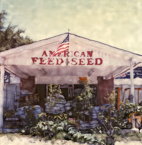 "American Feed & Seed"