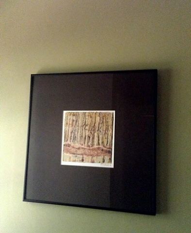 Tree Brook (framed)