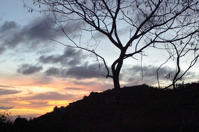 "Backyard Sunset, Wheel of Fortune"