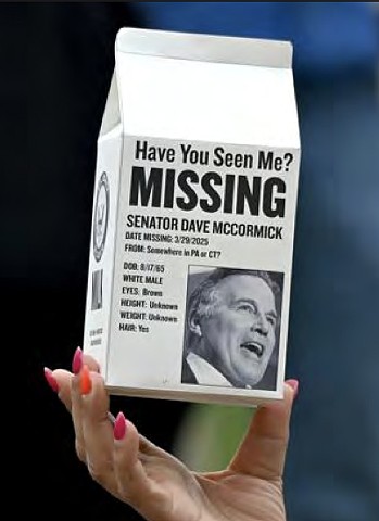 DIY Political Art: Missing Senators. A collaboration with Martha Wasik