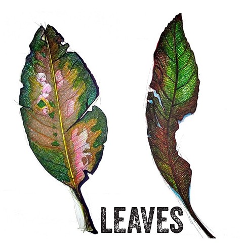 2012 - Leaf Drawings