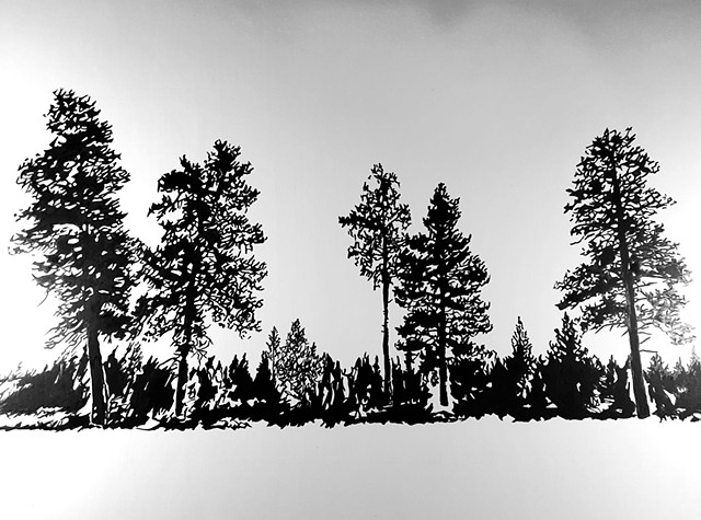 Juniper