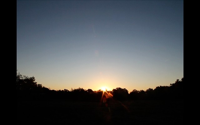 Video Still: Sunrise over Atascosa, TX