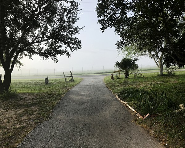 This is a photograph of my grandma's yard looking out from her driveway in Premont, TX. It reminds me of her foresight in knowing the importance of land ownership and her vigilant pursuit to own land that she could pass down to her family.