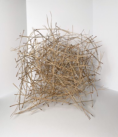 A Sketch in Pine Needles