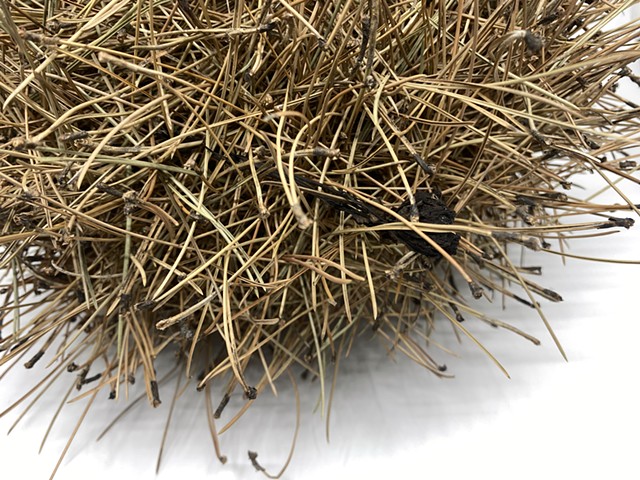 He Wore Old Jeans, an Old Shirt, Walked in Worn-On Bootsdetail