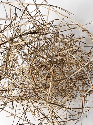 A Sketch in Pine Needles - detail