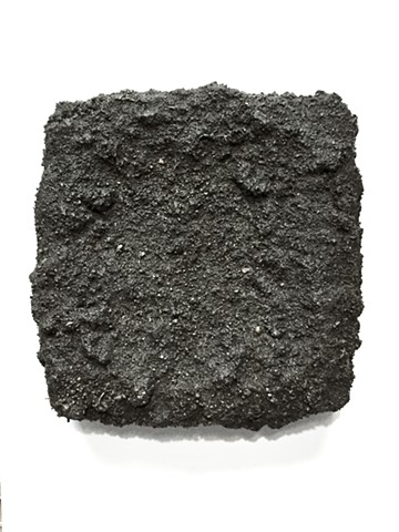 ziejka soil