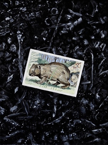 Wombat. Australian Bushfires 2020. (Vombatus ursinus. Card No. 28 of the ‘Discover Australia with Shell’ series, circa 1960.)