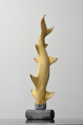 Hammerhead