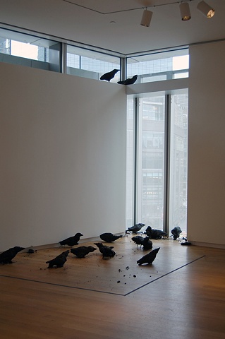 Murder

(installed at the Museum of Arts and Design, New York)