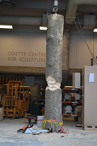 Study of cord progression (re-titled) (Work in progress)
Courtesy of the Odette Centre for Sculpture, York University, ON
