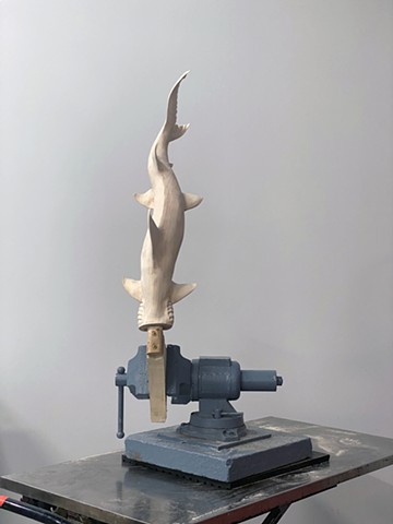 Hammerhead (work in progress)