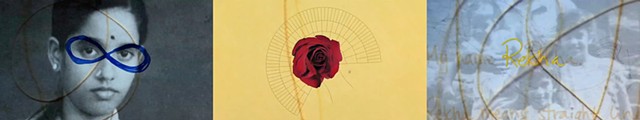 A Rose, a Fisheye, and a Line