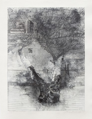 Running Tree in Studio