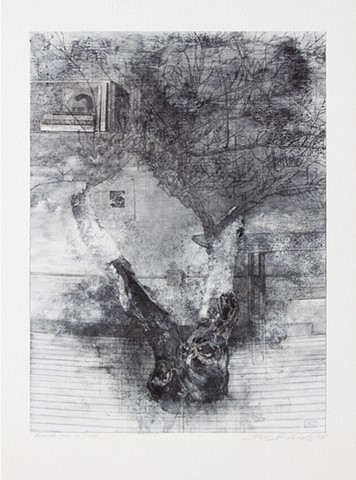 Running Tree in Studio
