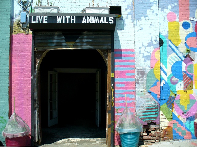 Live With Animals Gallery Solo Show July 2011