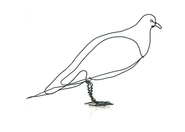 Pigeon IV