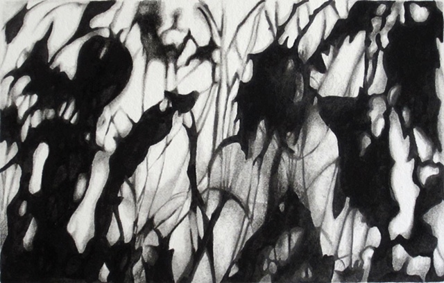 watercolor/graphite abstract shadows, black and white