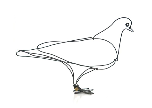 Pigeon VII