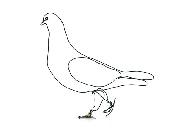 Pigeon XII