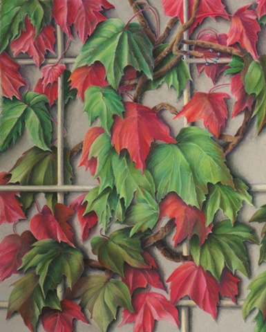 Red and Green Leaves