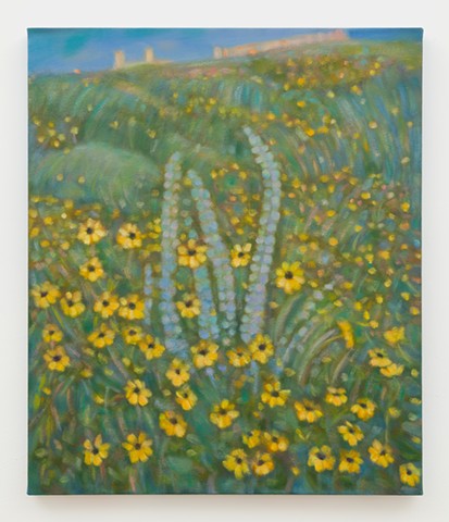 Crepuscular Daisies 