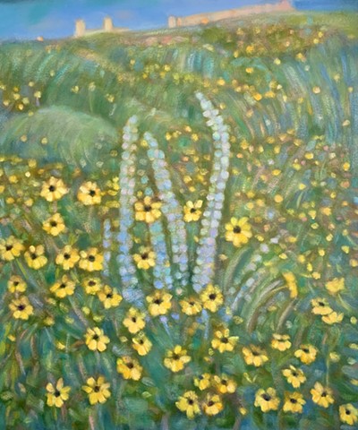 Crepuscular Daisies 