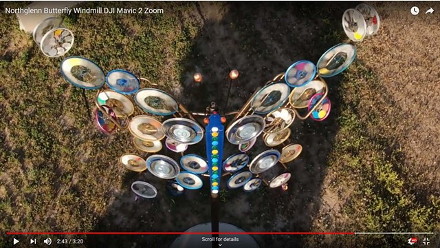 Butterfly, drone video