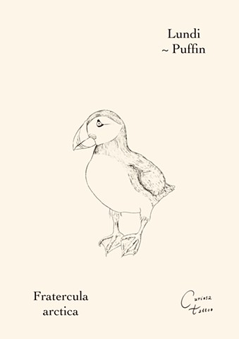 Lundi ~ Puffin