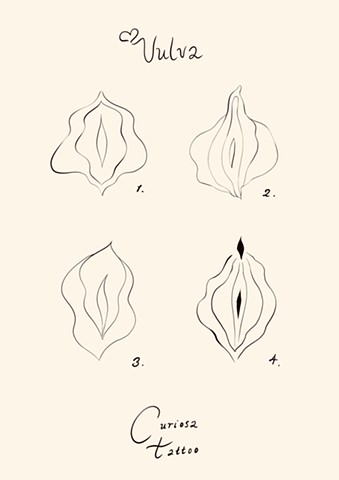 Vulvas