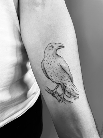 A raven tattoo.