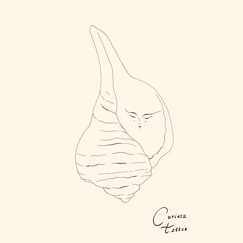 Resting sea cone lady