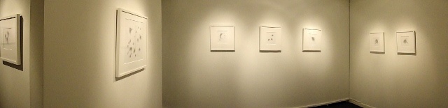 2011 "Origins & Mutations" show @ Exhibit A Gallery 