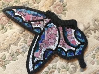 Butterfly 16