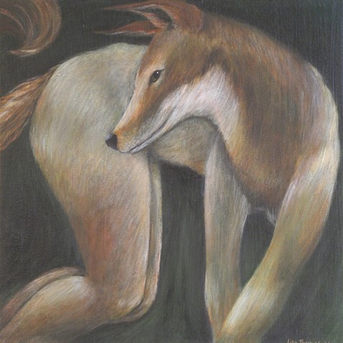 'Lady Fox'